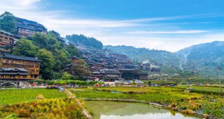 因地制宜發展鄉村旅游——凸顯特色、提高質量（新知新覺）